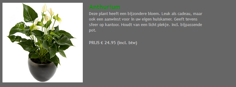 Anthurium