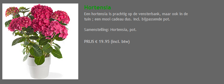 Hortensia