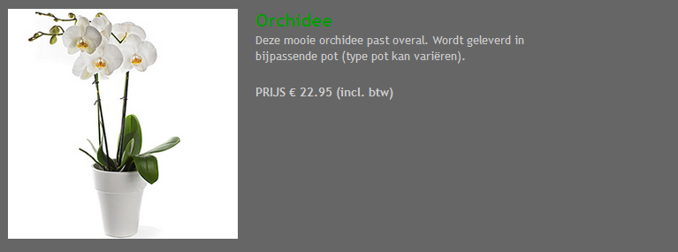 Orchidee