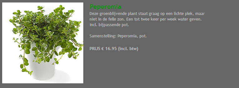 Peperomia